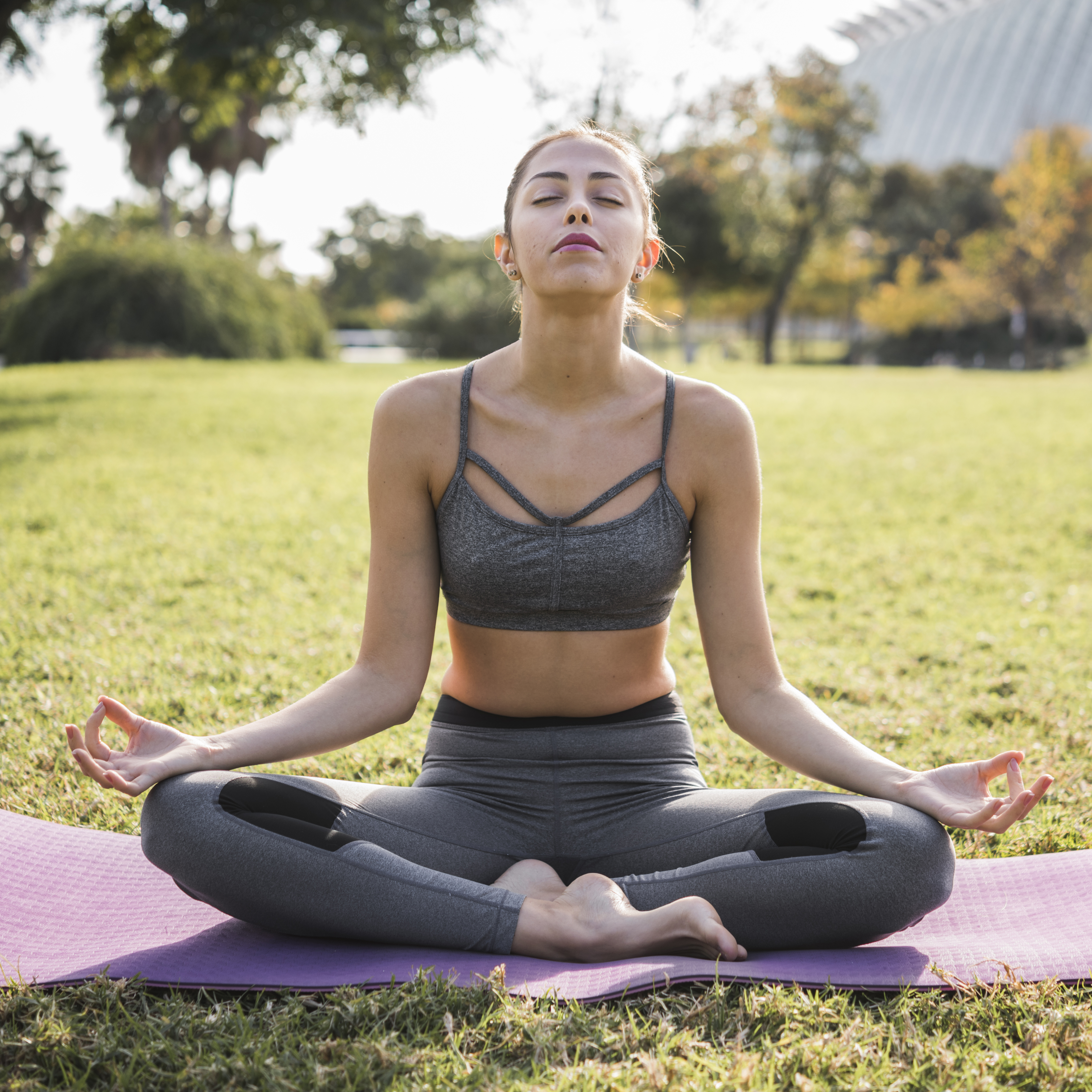 Pranayama: The Art of Breathing